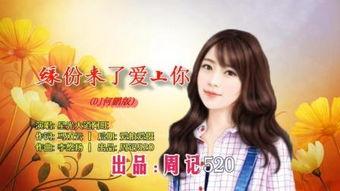 缘分 在线观看,在线邂逅，谱写命运奇缘  第2张